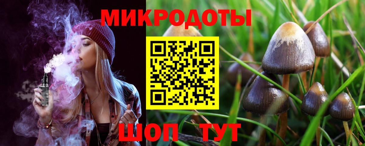 Галлюциногенные грибы Psilocybine cubensis Сунжа