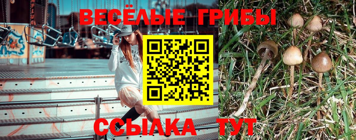 Галлюциногенные грибы MAGIC MUSHROOMS  Вход с VPN  Галлюциногенные грибы мицелий  купить   Сунжа 